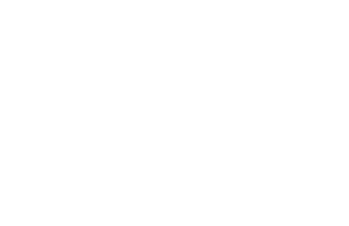 E-StatIS Home